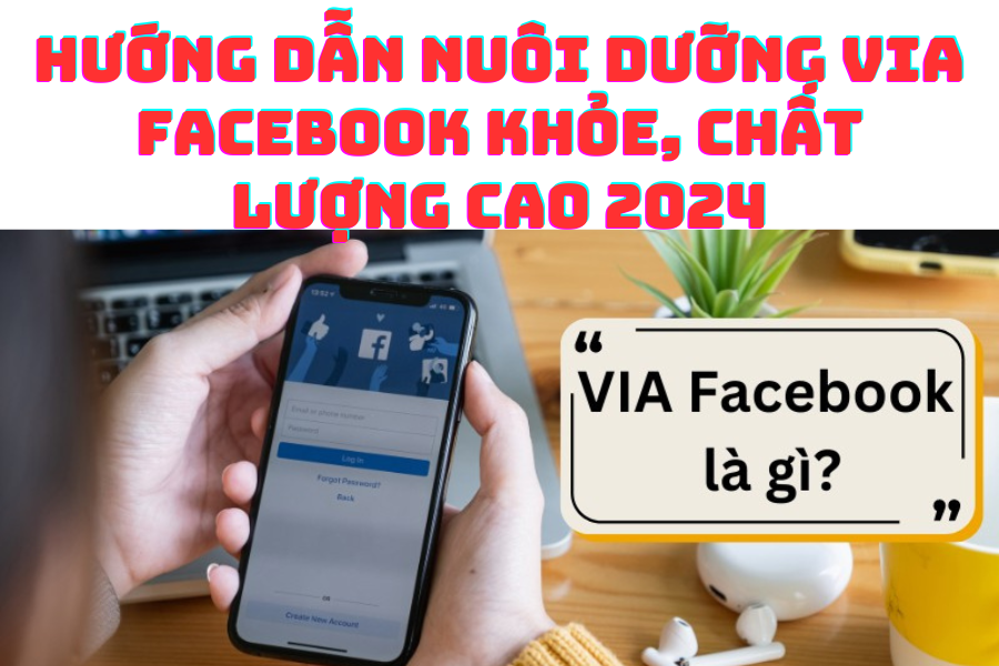 Hướng dẫn Nuôi dưỡng Via Facebook Khỏe, Chất lượng Cao 2024